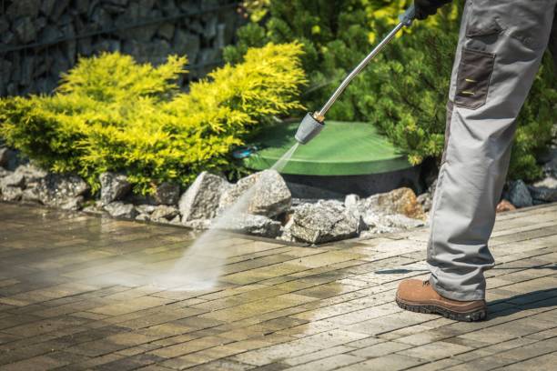 Best Pre-Holiday Cleaning  in Cologne, NJ